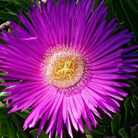 Apartamento Re 2 Personnes *