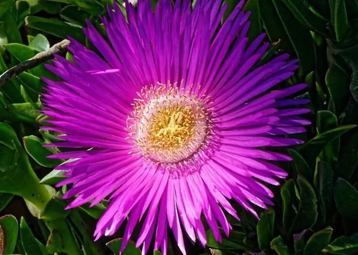 Apartamento Re 2 Personnes *